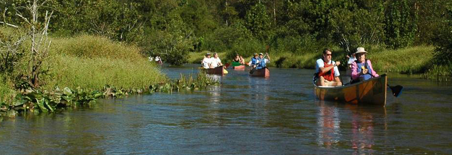 Canoeing on the Wolf River
